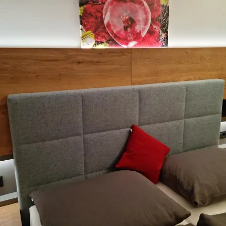 Geringer Ξενοδοχείο Schladming